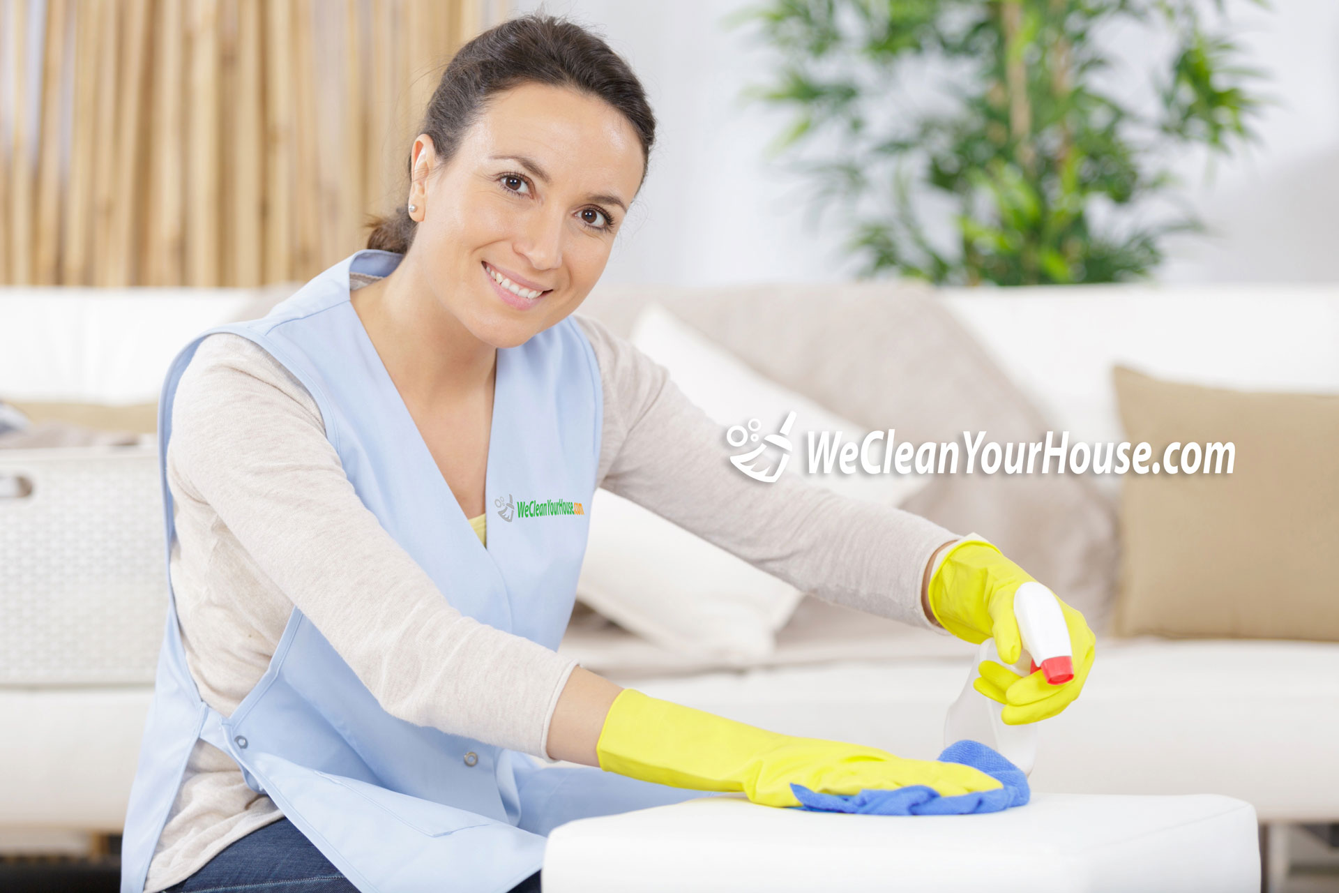 Professional house cleaners