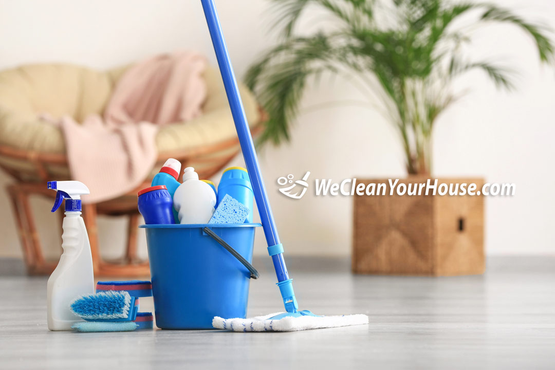 professional house cleaners with professional supplies