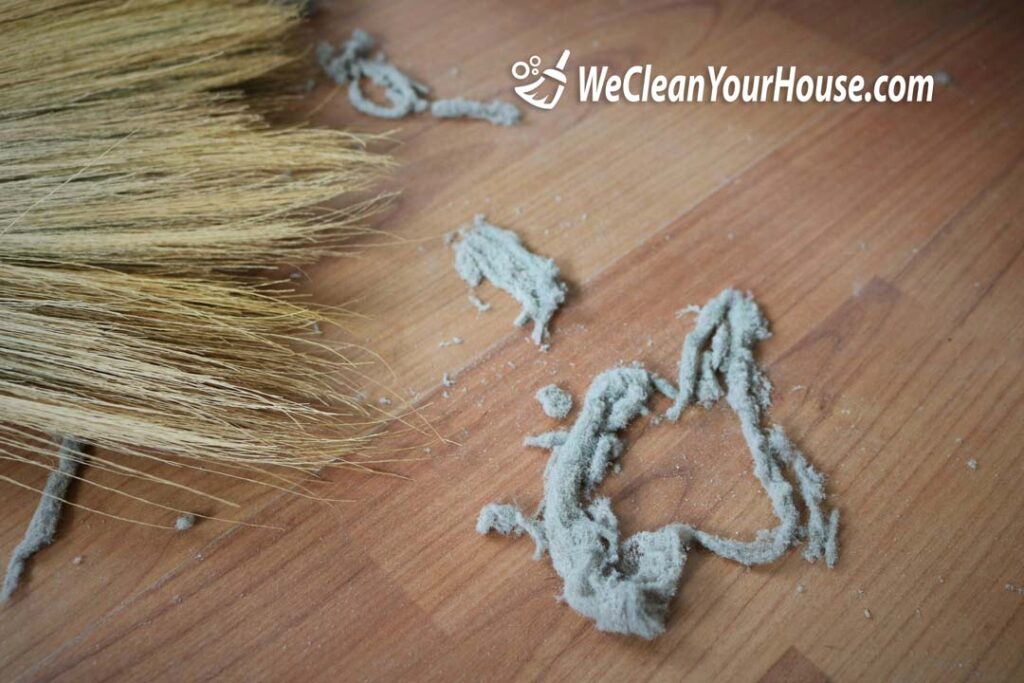 Tackling Dust Bunnies | We Clean Your House